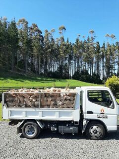 Douglas fir and Kiln dried Boxwood 2.5m2 Bulk Firewood